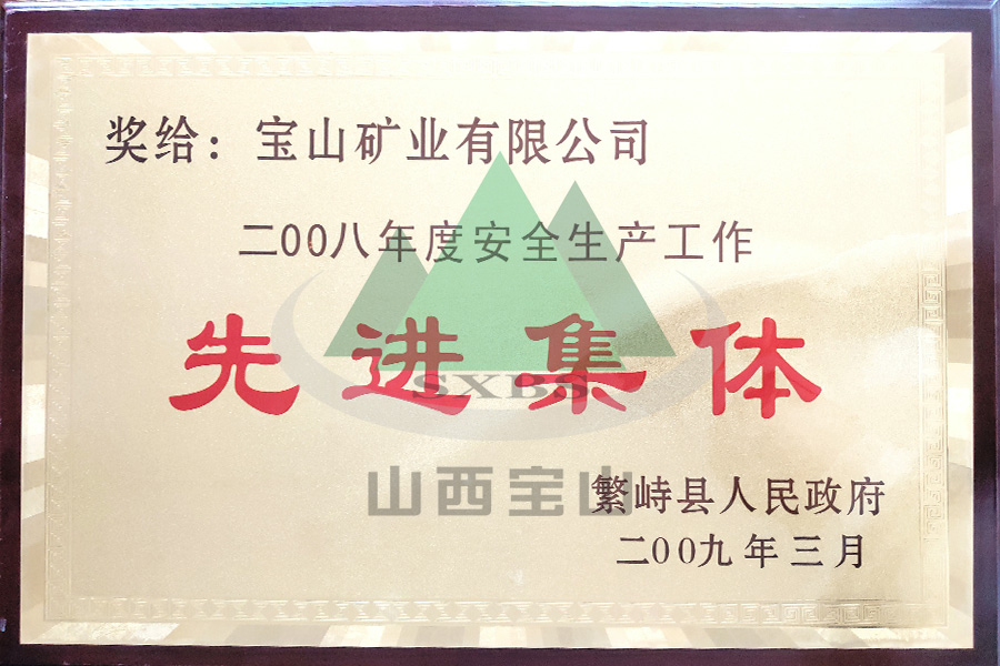 2008年度 先進(jìn)集體