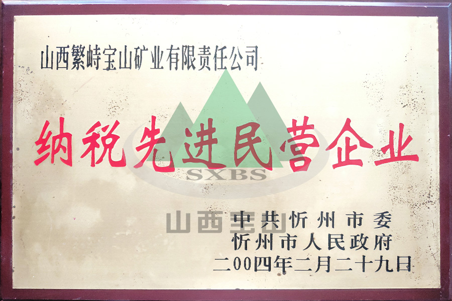 納稅先進(jìn)民營企業(yè)