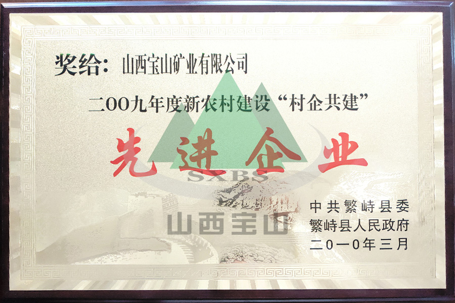 2009年度 先進(jìn)企業(yè)