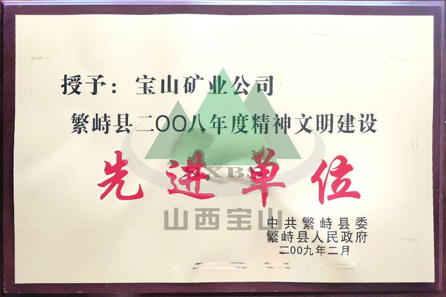 2008年度 先進(jìn)企業(yè)