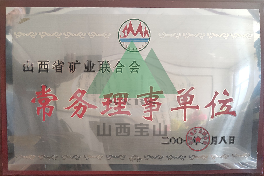 常務(wù)理事單位
