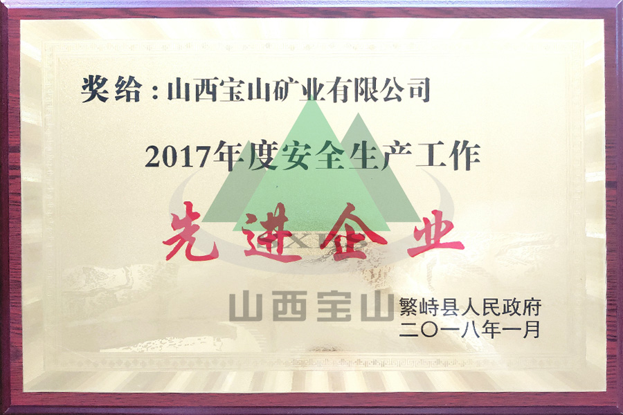 2017年度 先進(jìn)企業(yè)
