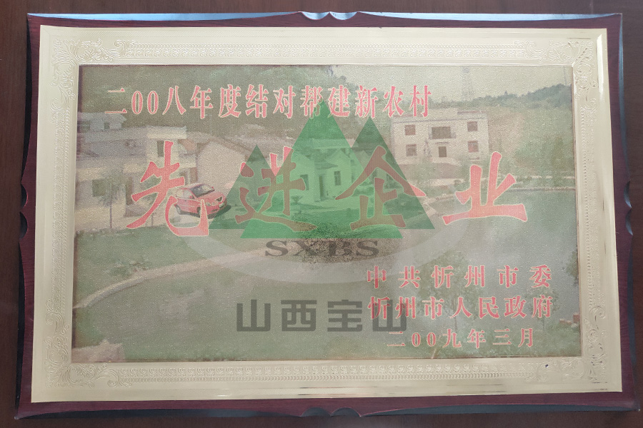 2008年度 結(jié)對幫建新農(nóng)村先進(jìn)企業(yè)